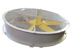 fan refurbishment luck and king